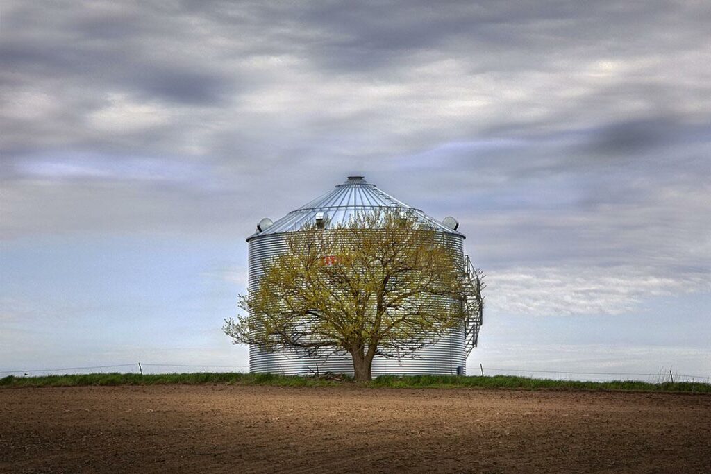 TREE GUARDS SILO from "Slow Roads America", p. 84