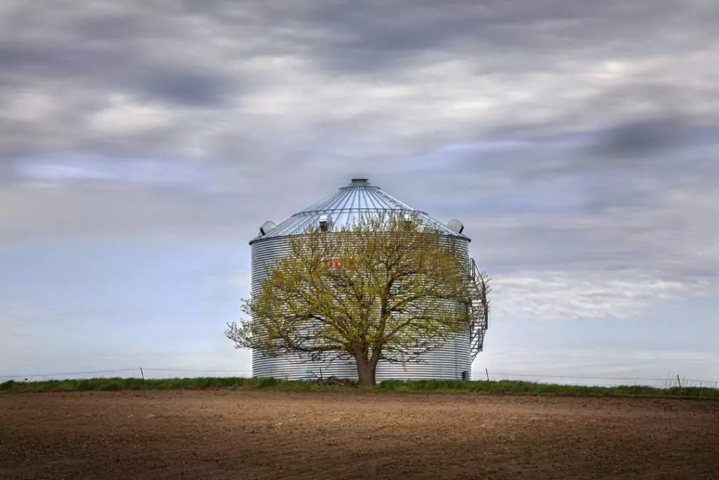 TREE GUARDS SILO from "Slow Roads America", p. 84 TREE GUARDS SILO from "Slow Roads America", p. 84