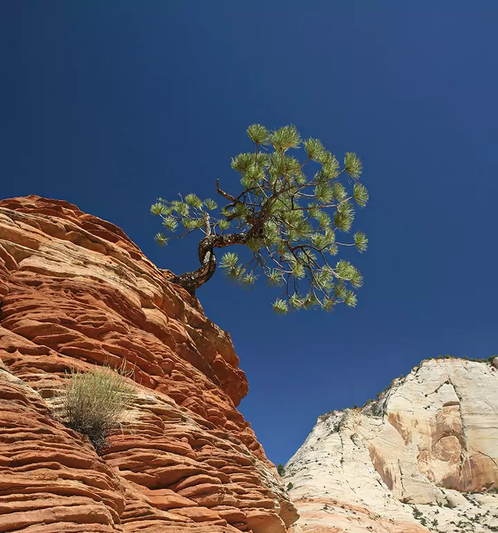 Indomitable, Zion National Park, Utah by Jerry Park Indomitable, Zion National Park, Utah by Jerry Park