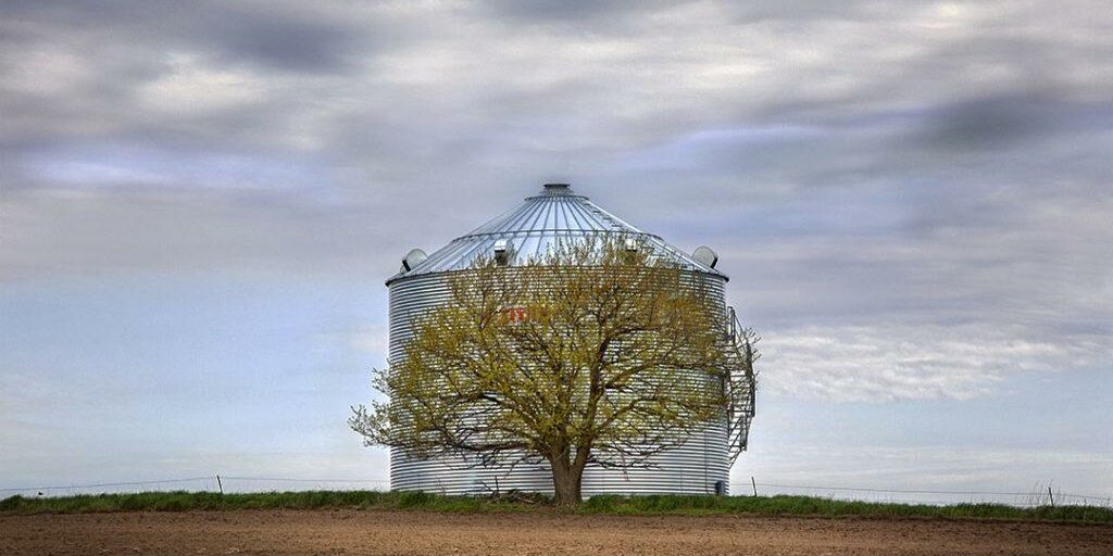 TREE GUARDS SILO from "Slow Roads America", p. 84